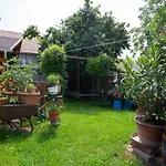 Szabó 2*