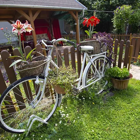 Szabo Vendeghaz Гостевой дом