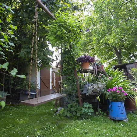 Szabo Vendeghaz Шиклош