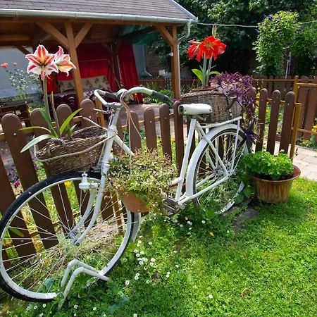 Гостевой дом Szabo Vendeghaz 2*